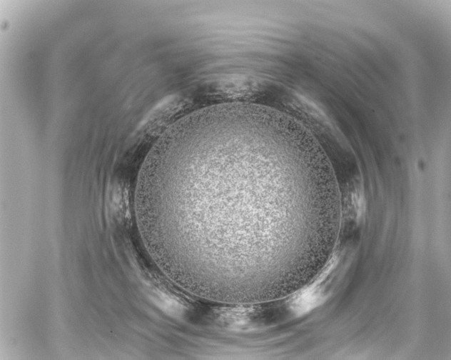 X0000059060182200510101058