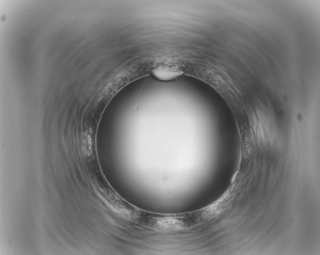 X0000059060183200510101058