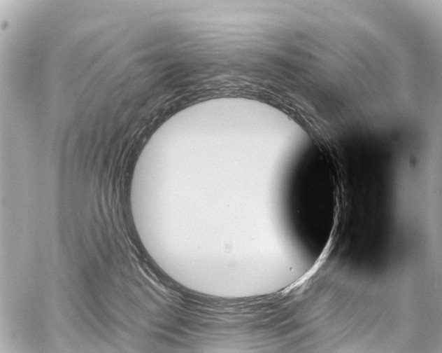 X0000059060186200510101058