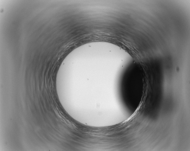 X0000059060187200510101058