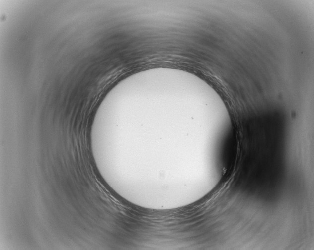 X0000059060189200510101058