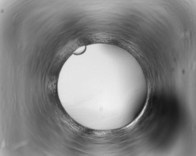 X0000059060190200510101058