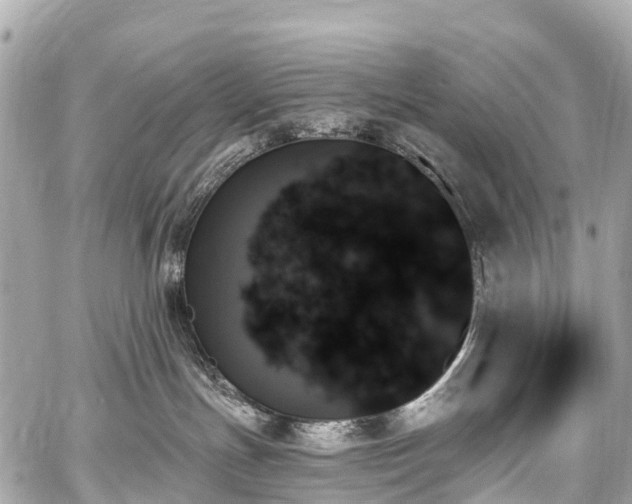 X0000059060191200510101058