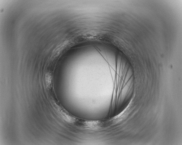 X0000059060192200510101058