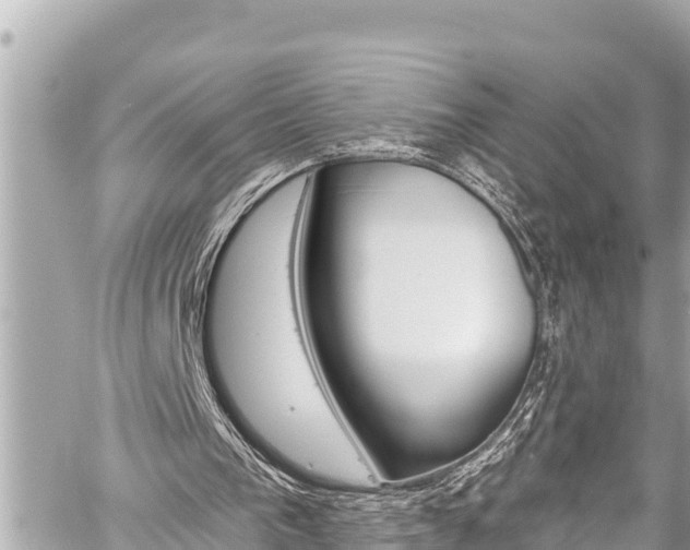 X0000059060193200510101057