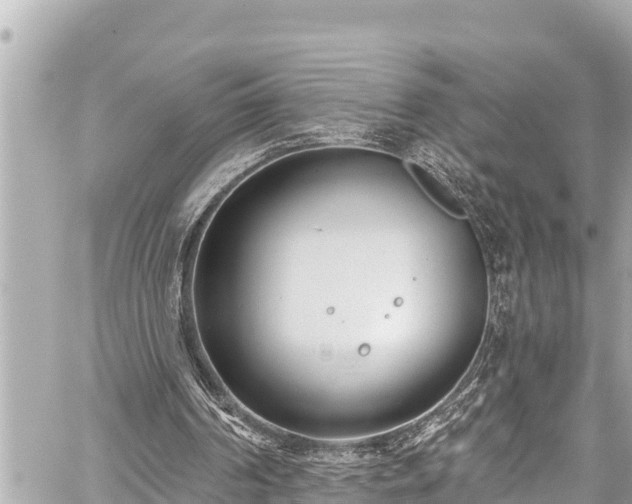 X0000059060194200510101057