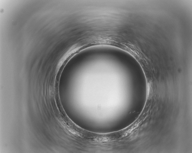 X0000059060195200510101057