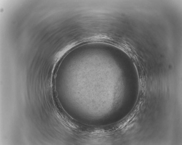 X0000059060196200510101057