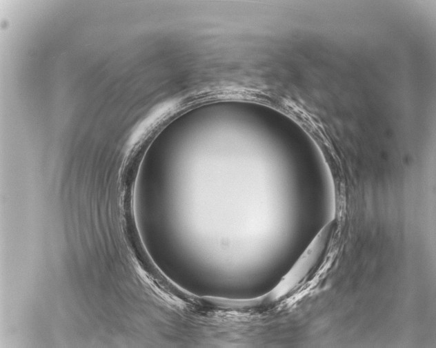 X0000059060197200510101057