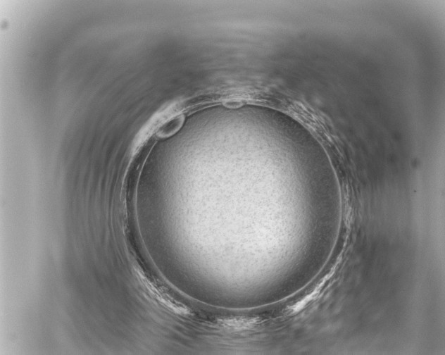 X0000059060198200510101057