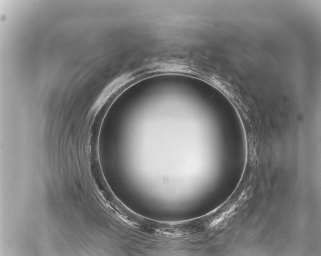 X0000059060199200510101057