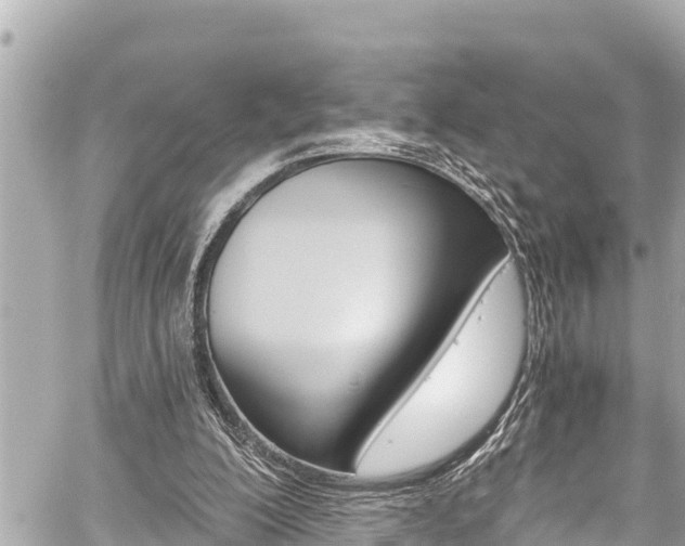 X0000059060200200510101057