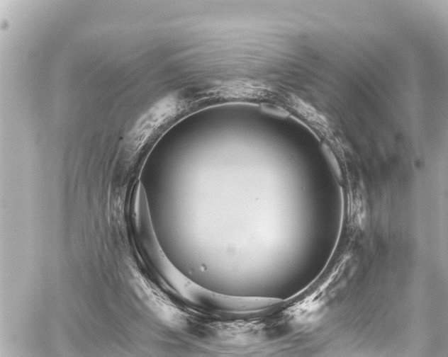 X0000059060201200510101057