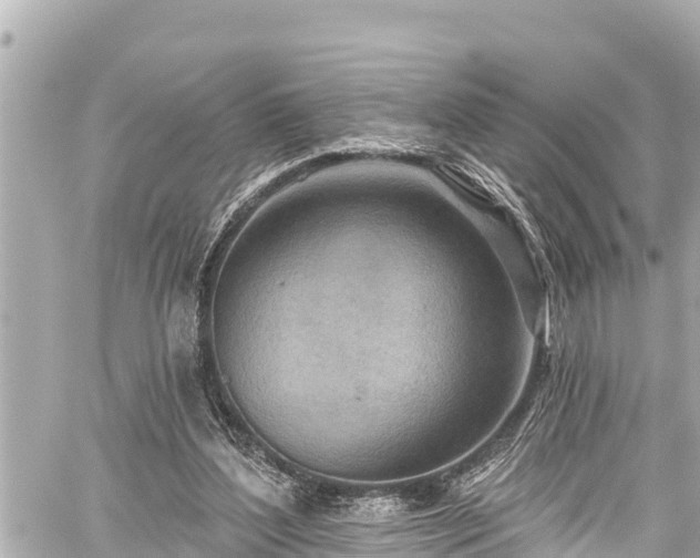 X0000059060204200510101057