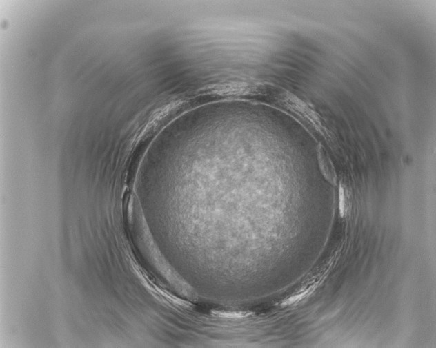 X0000059060205200510101057