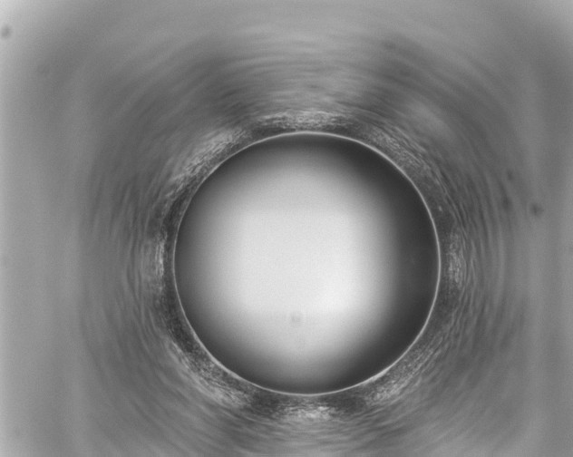 X0000059060206200510101057