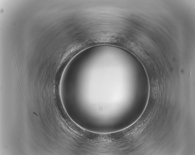 X0000059060207200510101057