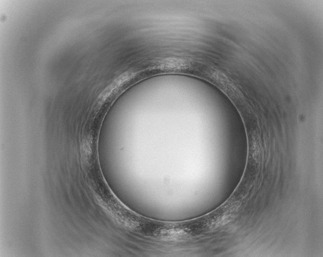 X0000059060208200510101057