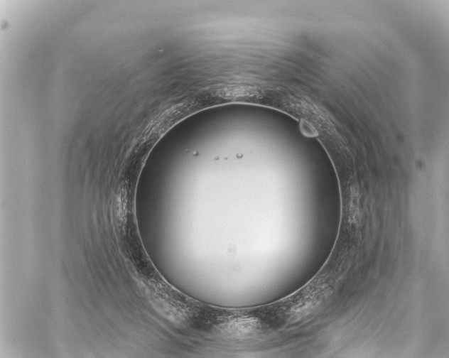 X0000059060210200510101057