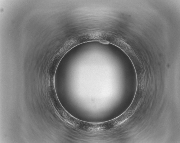 X0000059060213200510101057