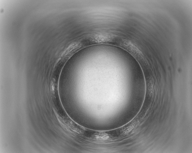 X0000059060214200510101057