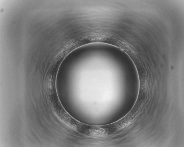 X0000059060215200510101057