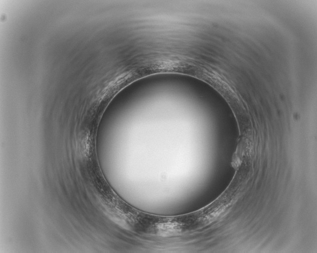 X0000059060216200510101057