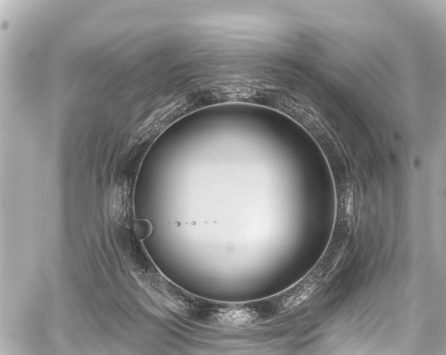 X0000059060218200510101057