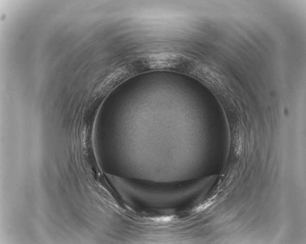 X0000059060219200510101057