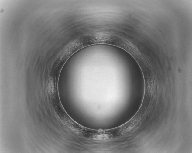 X0000059060220200510101057