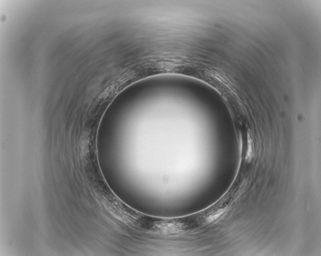 X0000059060221200510101057