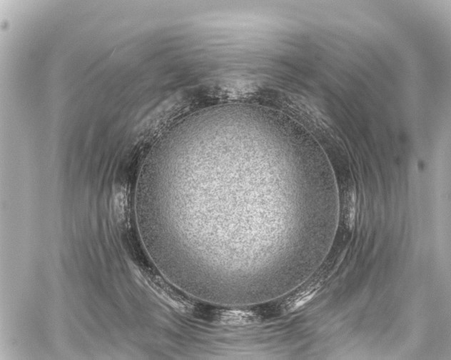 X0000059060222200510101057