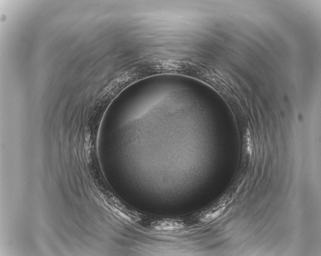 X0000059060223200510101057