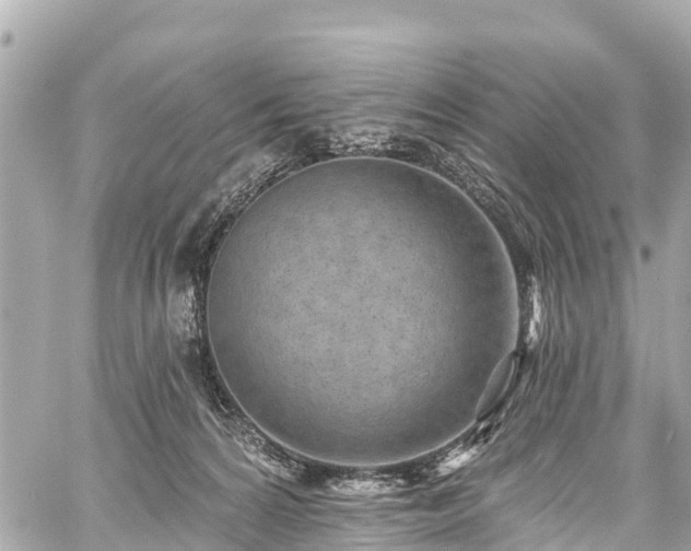 X0000059060224200510101057