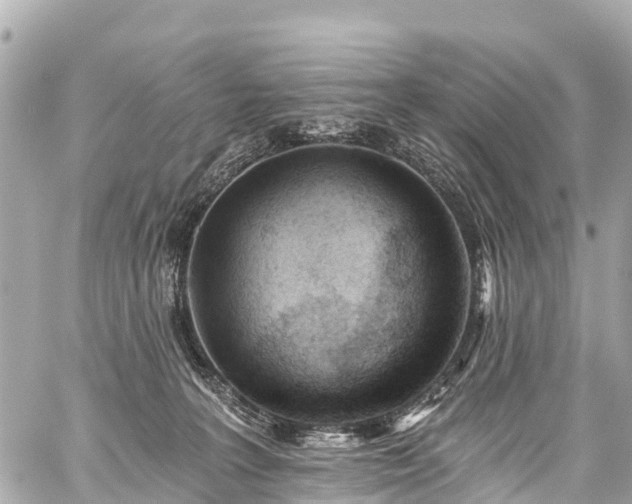 X0000059060227200510101057