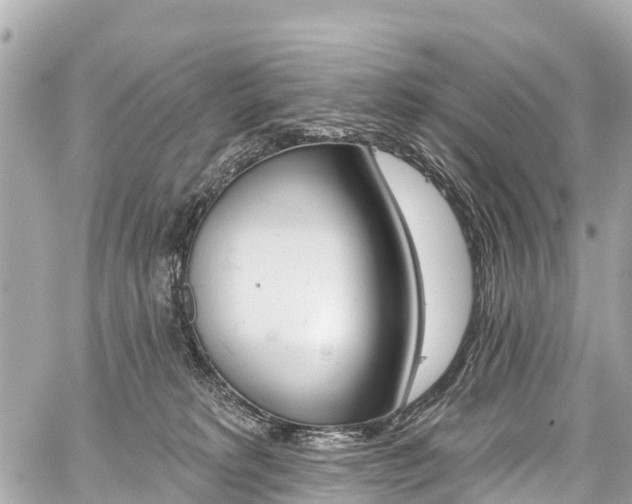 X0000059060229200510101057