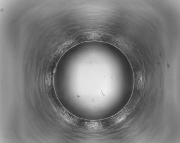 X0000059060230200510101057