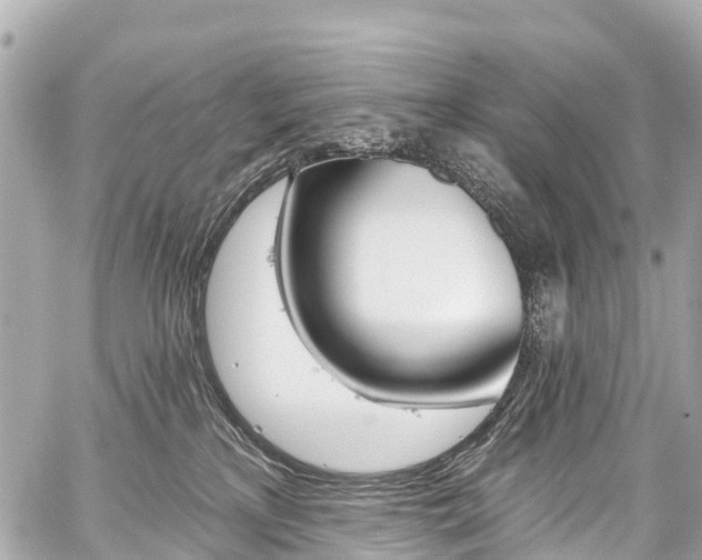 X0000059060233200510101057