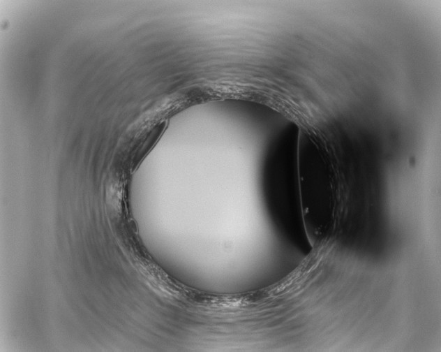 X0000059060235200510101057