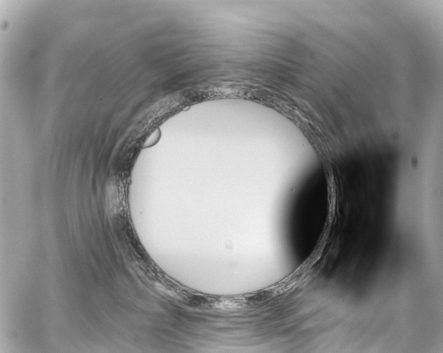 X0000059060236200510101057