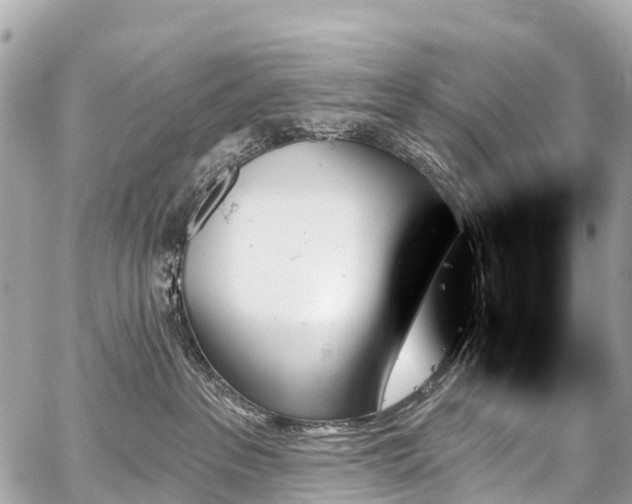 X0000059060237200510101057