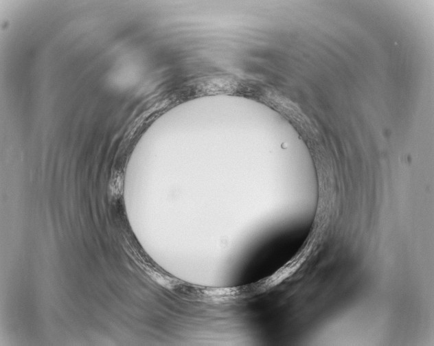 X0000059060240200510101057