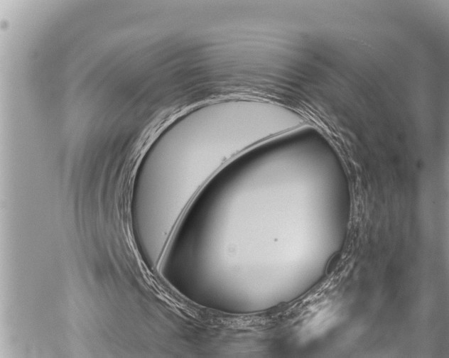 X0000059060241200510101056