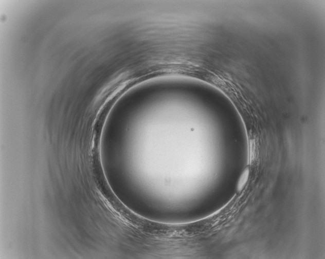 X0000059060243200510101056