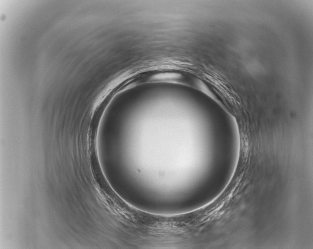 X0000059060244200510101056