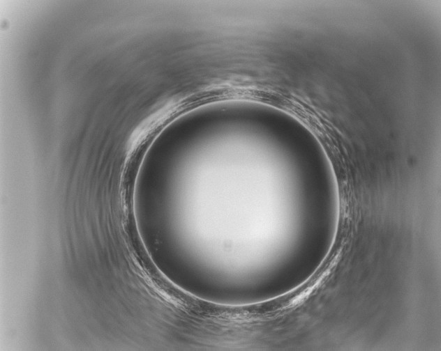 X0000059060245200510101056