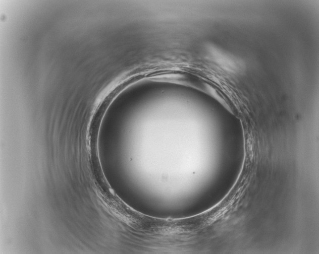 X0000059060246200510101056