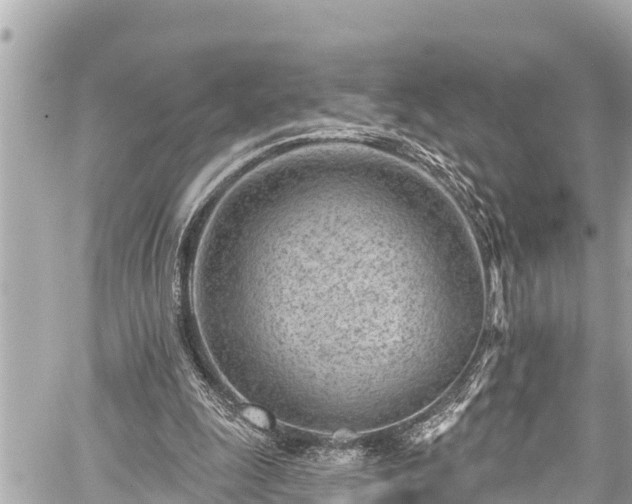 X0000059060247200510101056