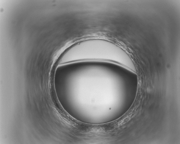 X0000059060248200510101056