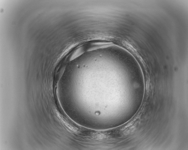 X0000059060249200510101056